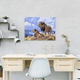 Paint by Numbers Lions Blue Sky