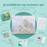 Paint by Numbers Lions Blue Sky