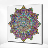 Paint by Numbers Mandala with Colours