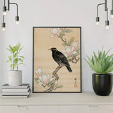 Diamond Painting Blackbird at magnolia Japan