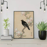 Paint by Numbers Blackbird at magnolia Japan