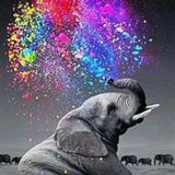 Paint by Numbers Elephant