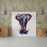 Paint by Numbers Elephant