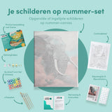 Paint by Numbers Elephant with Pink Cloud