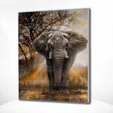 Paint by Numbers Elephant with Sunset