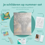Paint by Numbers Elephant with Sunset