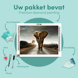 Diamond Painting Elephant on the Road