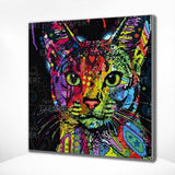 Paint by Numbers Excited Cat