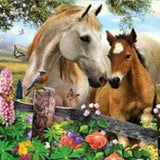 Diamond Painting Horse & Foal