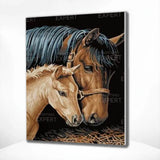 Paint by Numbers Horse and Foal