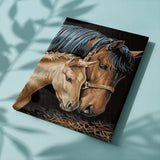 Paint by Numbers Horse and Foal