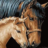 Paint by Numbers Horse and Foal