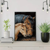 Paint by Numbers Horse and Foal
