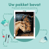 Diamond Painting Horse and Foal