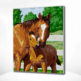 Paint by Numbers Horse and Foal