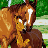 Paint by Numbers Horse and Foal