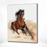 Paint by Numbers Horse at Gallop
