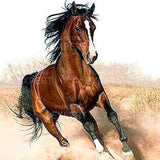 Paint by Numbers Horse at Gallop