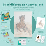 Paint by Numbers Horse at Gallop