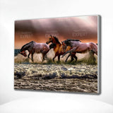 Paint by Numbers Horses in the Sea