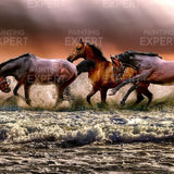 Paint by Numbers Horses in the Sea