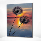 Paint by Numbers Dandelion Sunset
