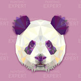 Paint by Numbers Panda Polygon