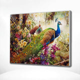 Paint by Numbers Peacocks