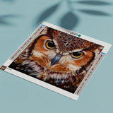 Diamond Painting Portrait Owl