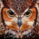 Diamond Painting Portrait Owl