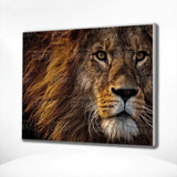 Paint by Numbers Beautiful Lion