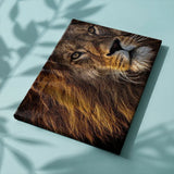 Paint by Numbers Beautiful Lion