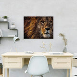 Paint by Numbers Beautiful Lion