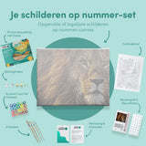 Paint by Numbers Beautiful Lion