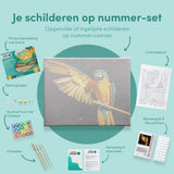 Paint by Numbers Beautiful Parrot