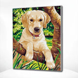 Paint by Numbers Puppy Labrador