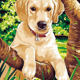 Paint by Numbers Puppy Labrador