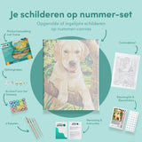Paint by Numbers Puppy Labrador
