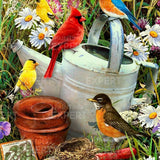 Paint by Numbers Red, Blue and Yellow Birds