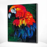 Paint by Numbers Red Parrot with Blue Shades
