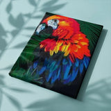 Paint by Numbers Red Parrot with Blue Shades