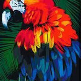 Paint by Numbers Red Parrot with Blue Shades