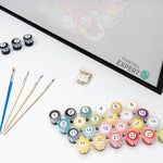 Paint by Numbers Gift worth €25