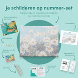 Paint by Numbers Chamomile