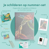 Paint by Numbers Turtles Coloured