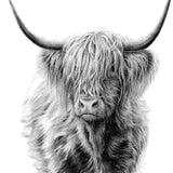 Diamond Painting Scottish Highlander Black