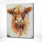 Paint by Numbers Scottish Highlander