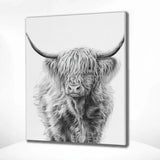 Paint by Numbers Scottish Highlander in Black and White