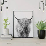 Paint by Numbers Scottish Highlander in Black and White