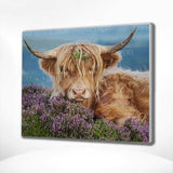 Paint by Numbers Scottish Highlander with Flowers